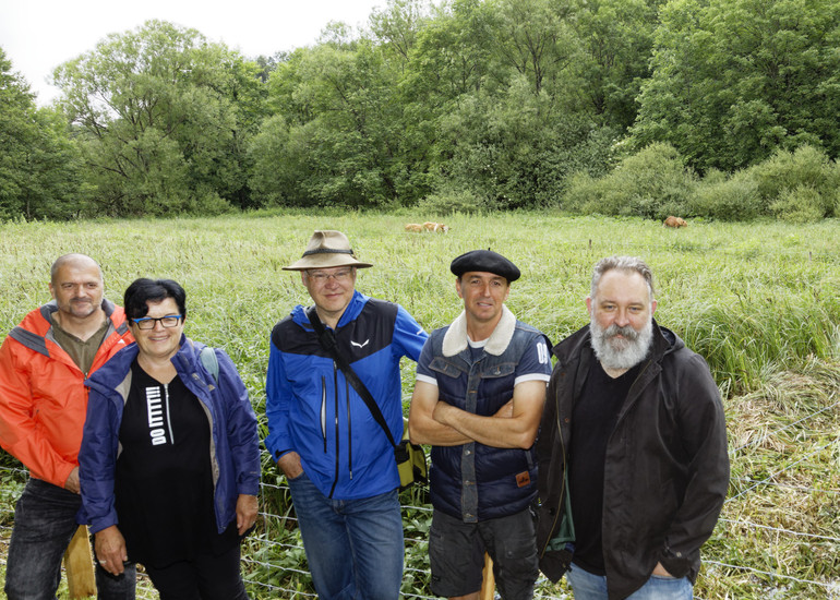 Un écopâturage sur les berges du lac